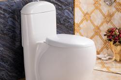 竞彩网-罗马卫浴排名第几名(罗马卫浴官网旗舰店)