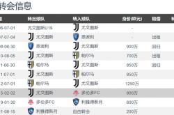 竞彩网-意甲赛季总结报告(意甲赛季场次)